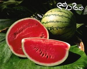 خواص فراوان هندوانه میوه تابستانی