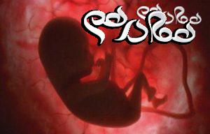 خطرات انسداد رگ مادر با مایع دور جنین